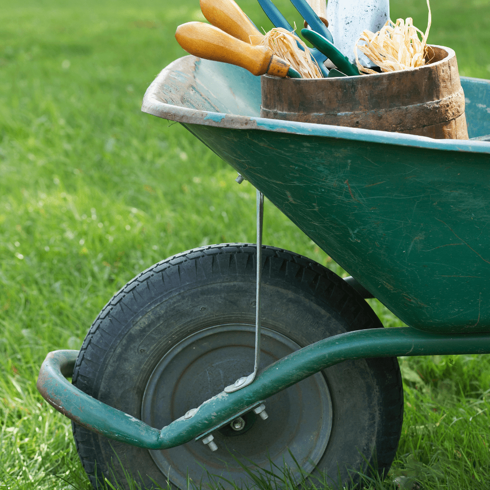 wheelbarrow trowel shears tools spring garden preparations beds tulips daffodils how to amend build bed pathway paver patio hardscape flower vegetable fruit herb prune mulch soil