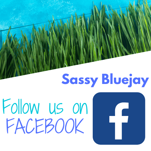 sassy bluejay green grass on blue background follow us on facebook logo flower dahlia orange purple green roses white font call to action social media following audience