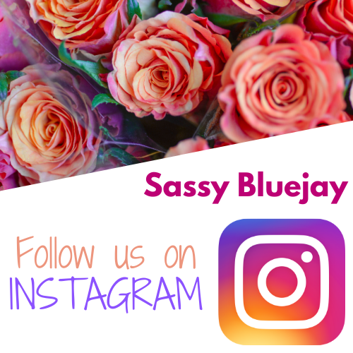sassy bluejay follow us on instagram logo flower dahlia orange purple green roses white font call to action social media following audience