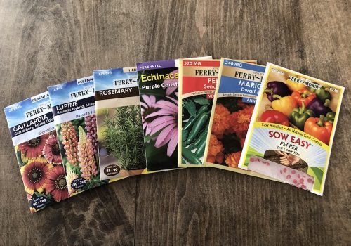 new seed packet photosseed packet growing year details expired viability fruit vegetable herb flower seed packets example with date printed garden journal seed catalog seedlings sprouts
